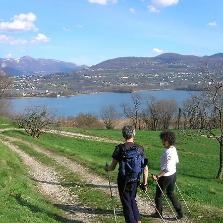 Oda ve Kahvaltı Leon D'oro