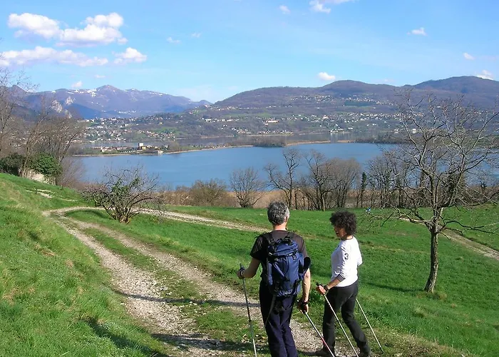 Oda ve Kahvaltı Leon D'oro